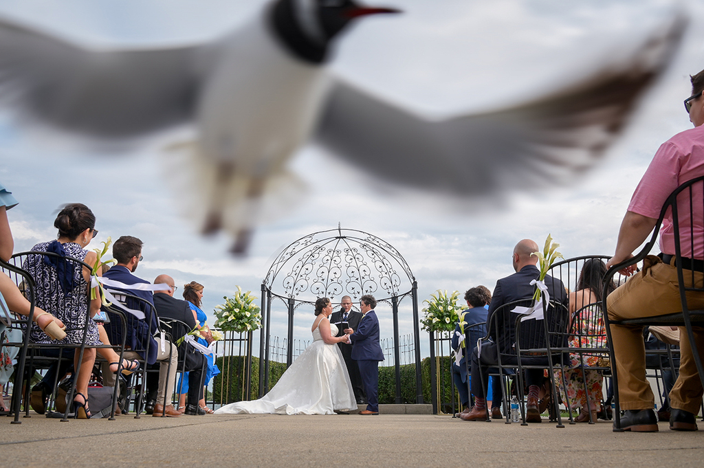 Marci Curtis - Michigan Wedding Photojou...