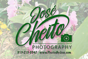 JoseCheito Photography - PHOTO in New Port Richey, FL