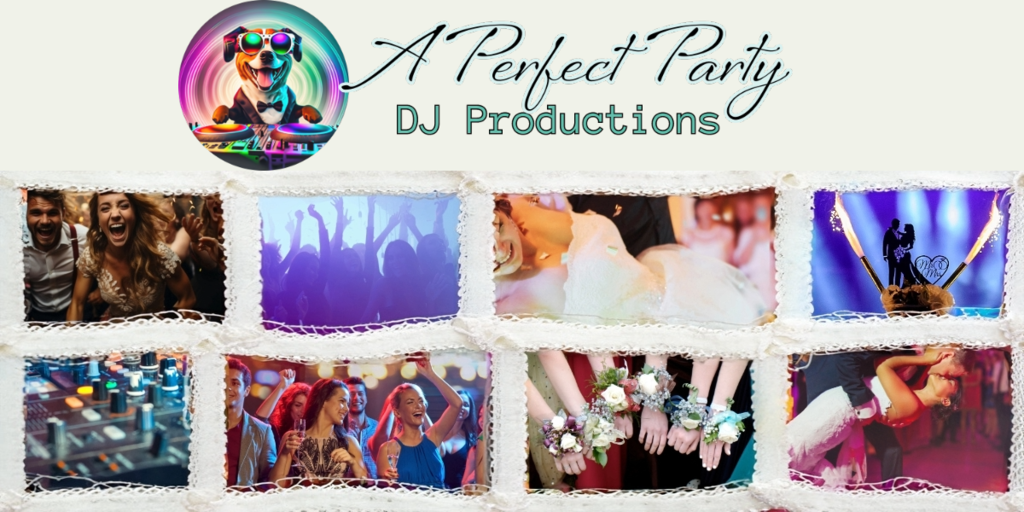 A Perfect Party DJ Productions